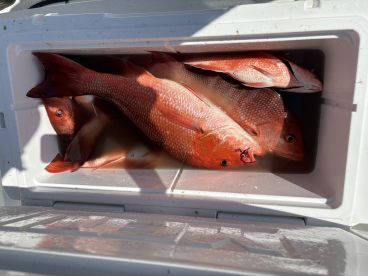 June fishing trip