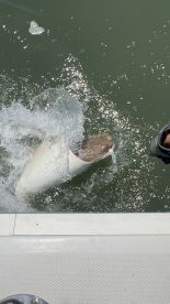 Great Day Fishing