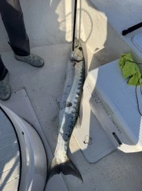 Amazing Offshore fishing