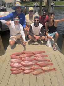 Holy Snapper!