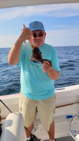 Capt Scotty