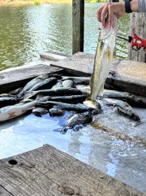 Fantastic experience!