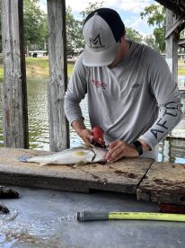 Fantastic experience!