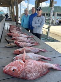 Red Snapper