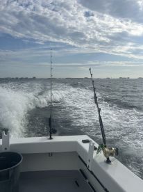 Incredible charter!