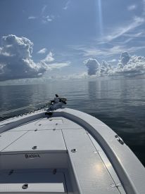 Fantastic trip in June