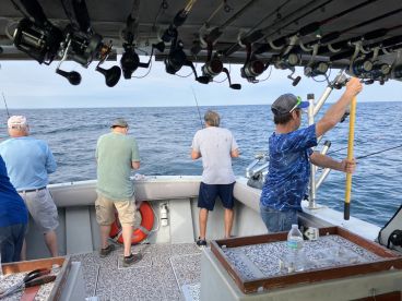 Fantastic charter