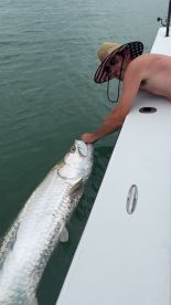 Awesome tarpon fishing