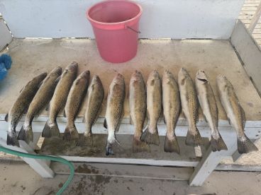 Great memories and Great fishing 