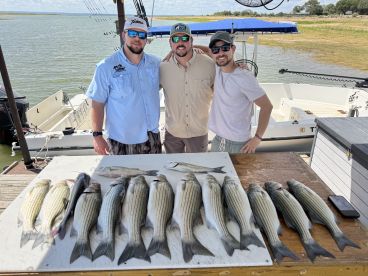 Tight Lines! 
