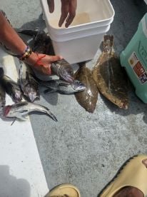 Catch fish here.