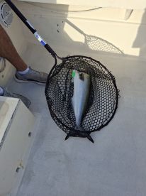 EXCELLENT 100% RECOMMEND