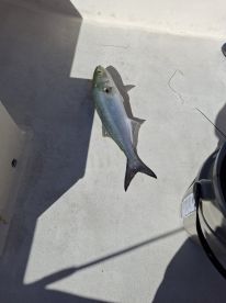 EXCELLENT 100% RECOMMEND