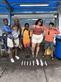 Perfect trip for pre teens and families 