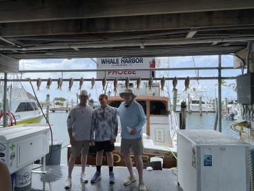 Great Trip