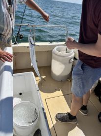 Great day of catching fish