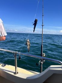 Great day of catching fish