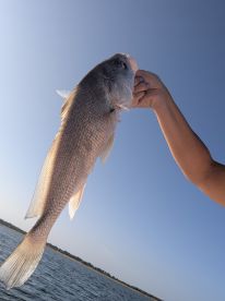Catch of a Lifetime