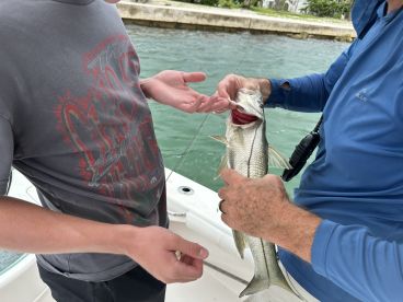 Great skipper and gets you on fish…
