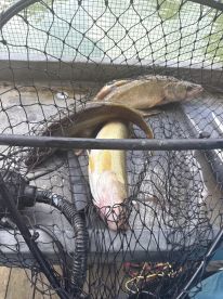 Kids only want to fish now!