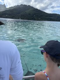 Excellent fishing, excellent crew, awesome with kid