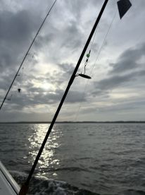 Terrific Day on the Water