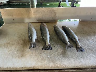 Slow Fishing 