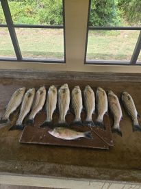 A great fishing day