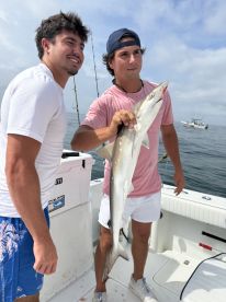 Wow ! We caught sharks ! Guys were thrilled 
