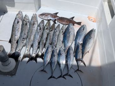 Great trip, many fish caught