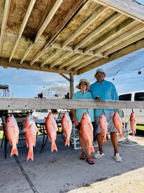 Sea Sick & Snapper