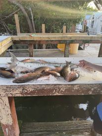 Great fishing trip 