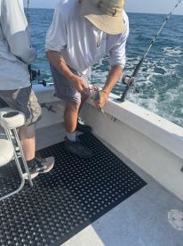 Fourth of July Trip