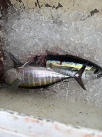 Great day, Fishing
