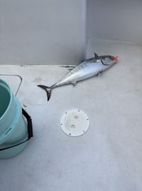 Great day, Fishing