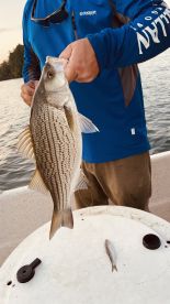 Good Captain and Good fishing 
