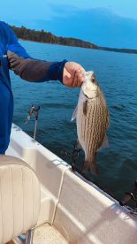 Good Captain and Good fishing 