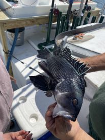 Fishing with Robert
