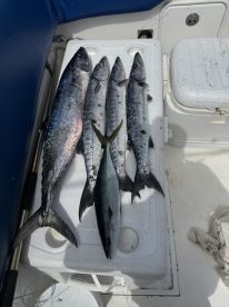 Wonderful experience fishing