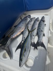 Wonderful experience fishing