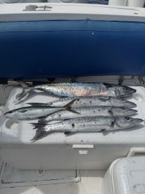 Wonderful experience fishing