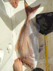 An amazing catch and experience 