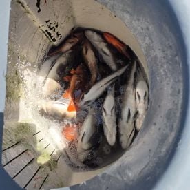 July fishing trip