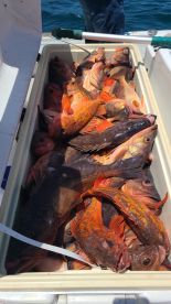 July fishing trip