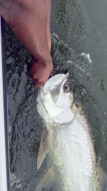 Fishing with Clery