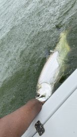 Fishing with Clery