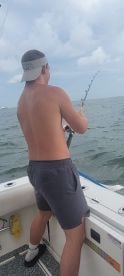 Caught a huge Bull shark!