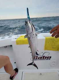 Best Fishing Crew In Cabo