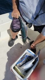 This was a fish on experience 