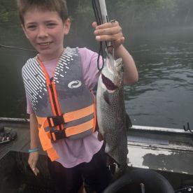 Rainbow trout